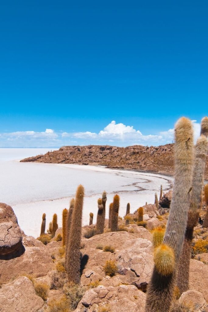 Isla Incahuasi Uyuni Informaciones Bolivia isla-incahuasi-uyuni-informaciones-bolivia